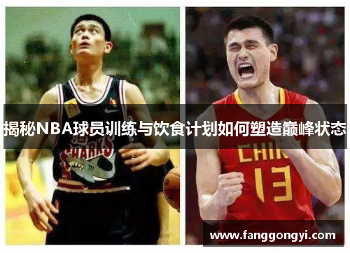 揭秘NBA球员训练与饮食计划如何塑造巅峰状态