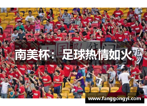 南美杯:足球热情如火 南美杯:足球热情如火